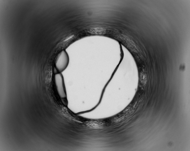 X0000103330652200810171425