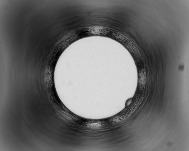 X0000103330653200810171425