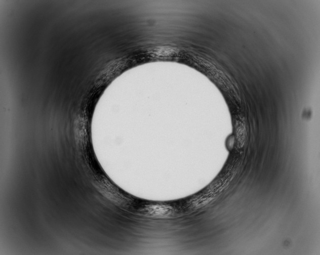 X0000103330654200810171425