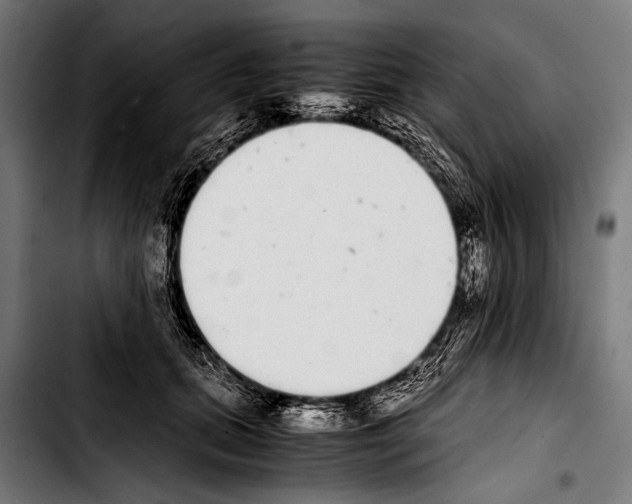 X0000103330655200810171425