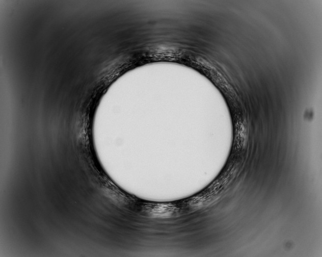 X0000103330663200810171425