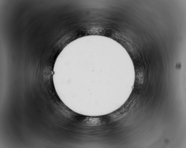 X0000103330665200810171425