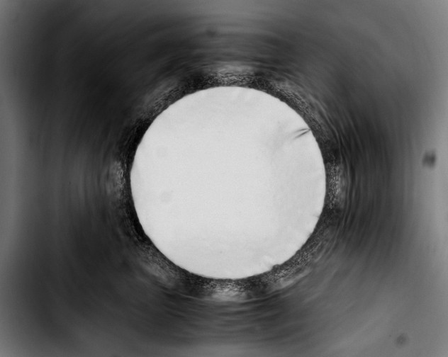 X0000103330667200810171425