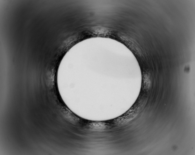 X0000103330668200810171425