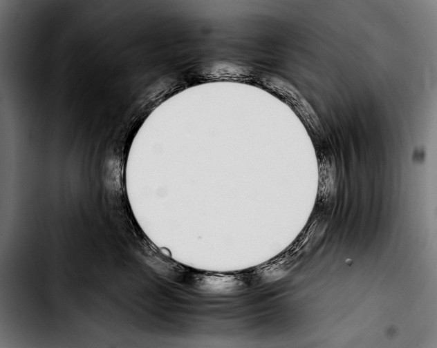 X0000103330669200810171425