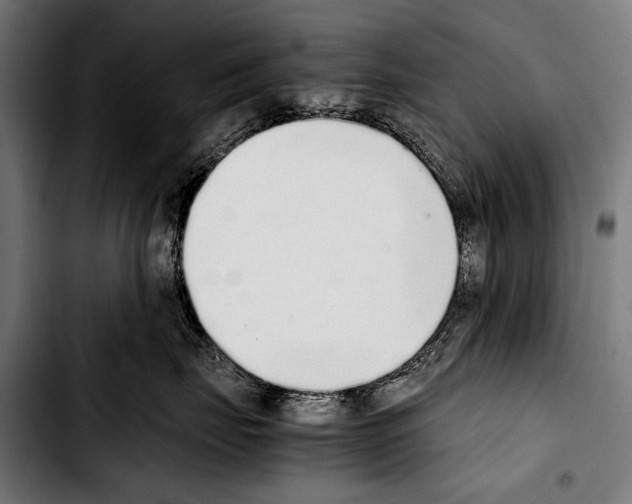 X0000103330671200810171425