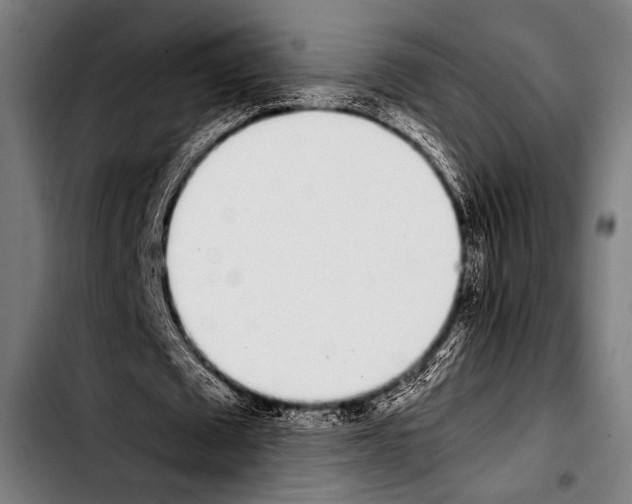 X0000103330673200810171425