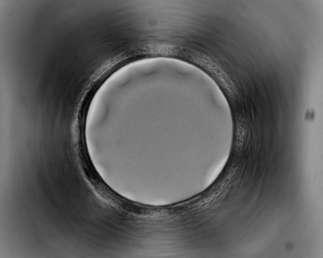 X0000103330674200810171425