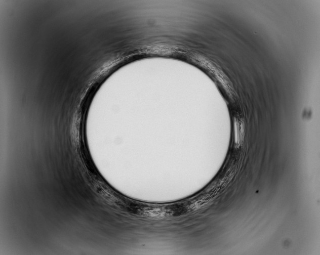 X0000103330675200810171425