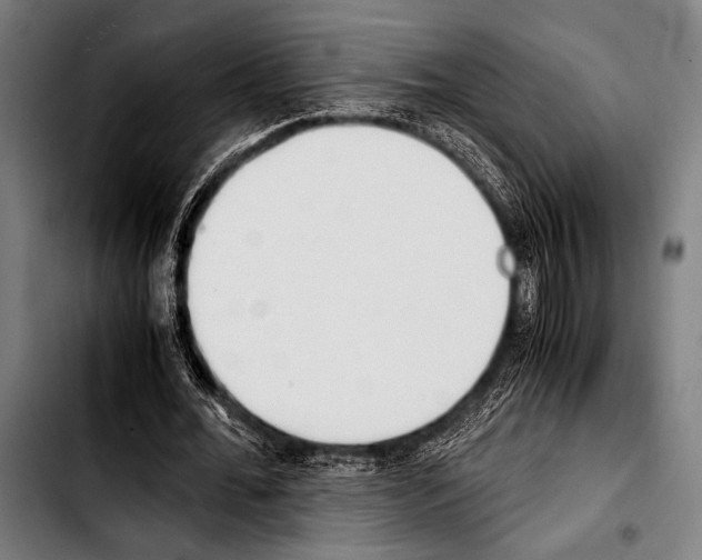 X0000103330676200810171425