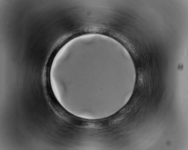 X0000103330678200810171425