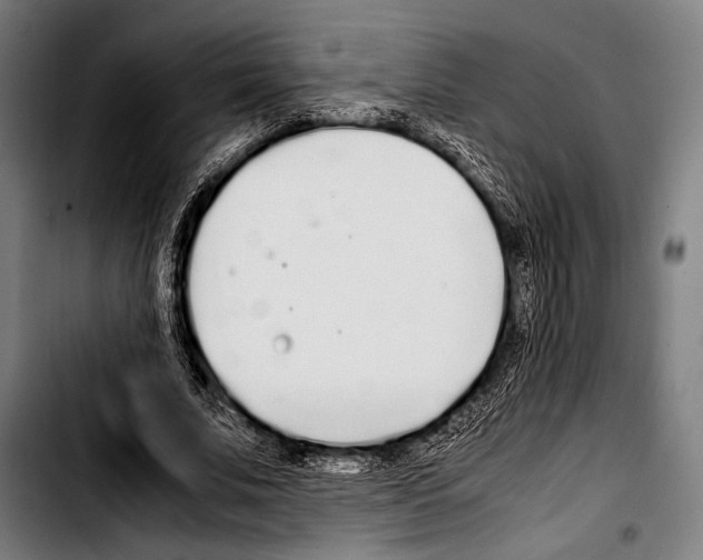 X0000103330679200810171425