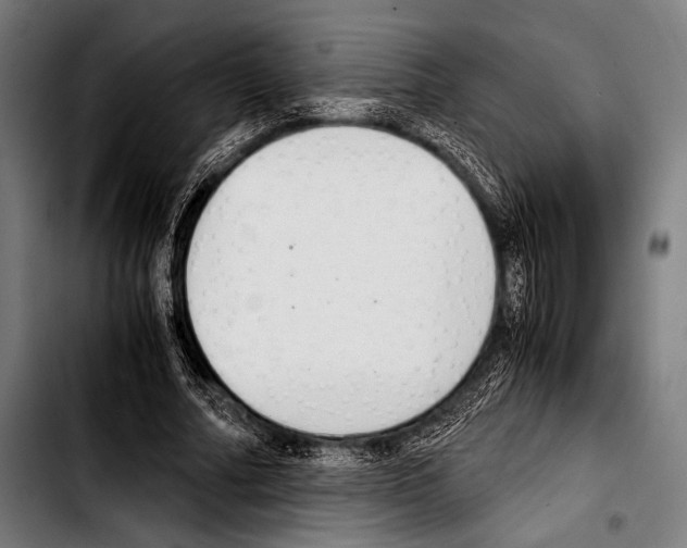 X0000103330682200810171424