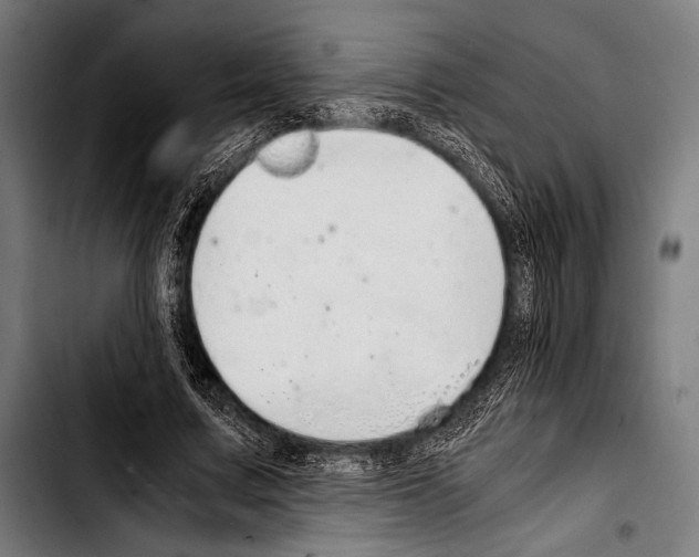 X0000103330683200810171424