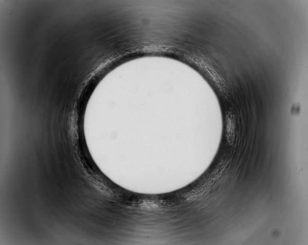 X0000103330684200810171424