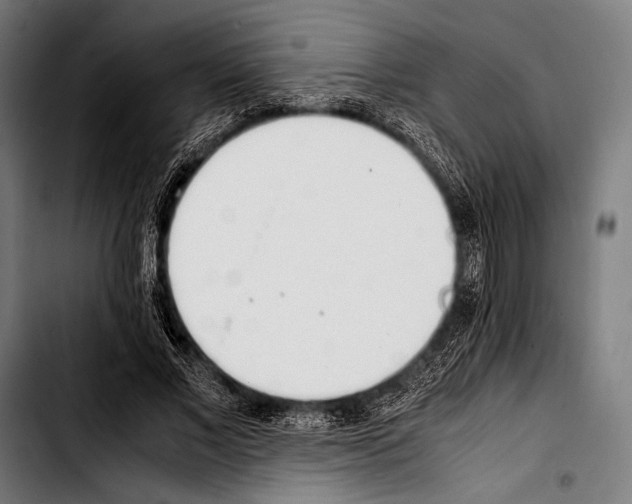 X0000103330685200810171424