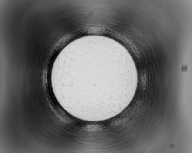 X0000103330686200810171424