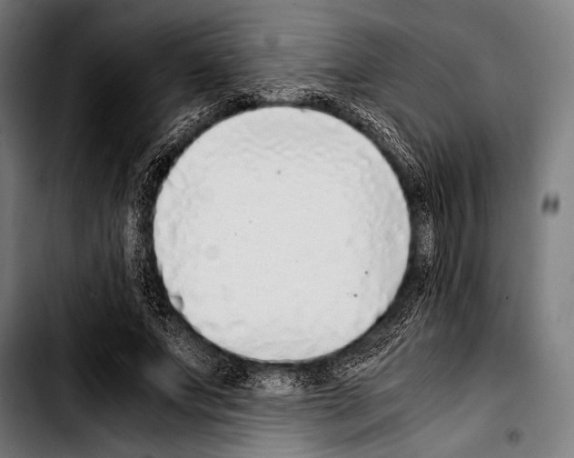 X0000103330687200810171424