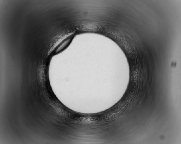 X0000103330688200810171424