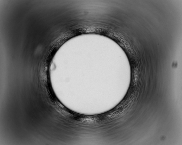 X0000103330691200810171424