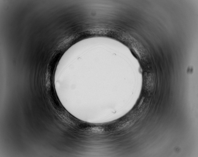 X0000103330692200810171424