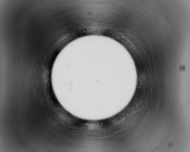 X0000103330693200810171424