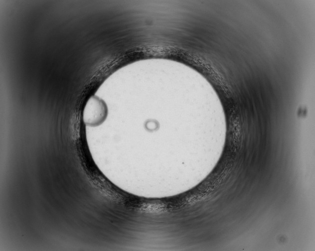 X0000103330694200810171424