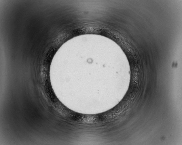 X0000103330695200810171424