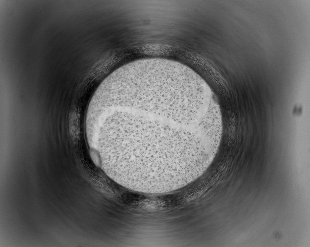 X0000103330696200810171424