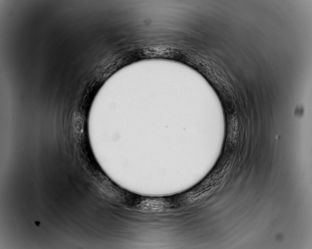 X0000103330699200810171424