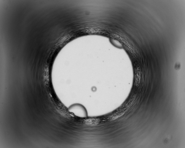 X0000103330700200810171424