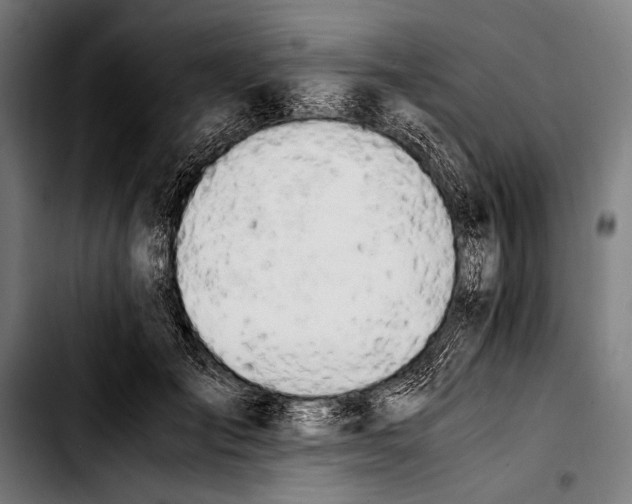 X0000103330701200810171424