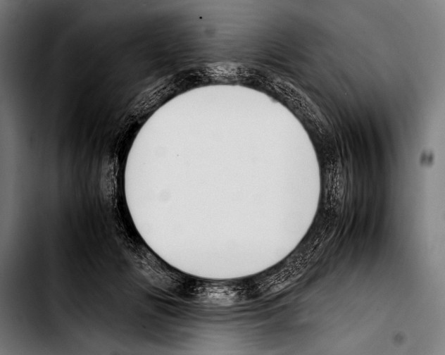 X0000103330702200810171424