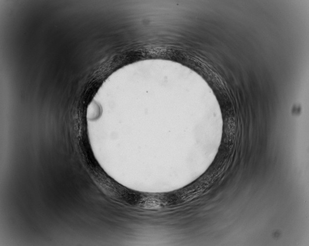 X0000103330703200810171424