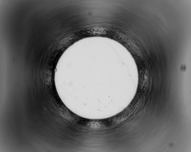 X0000103330704200810171424