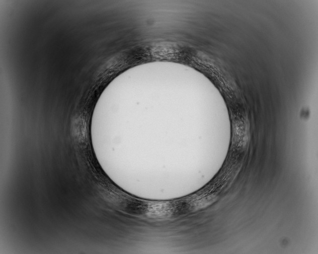 X0000103330705200810171424