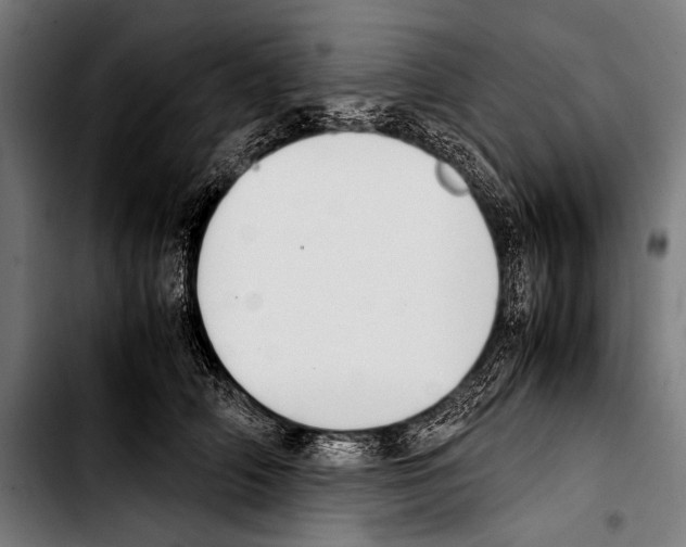 X0000103330706200810171424