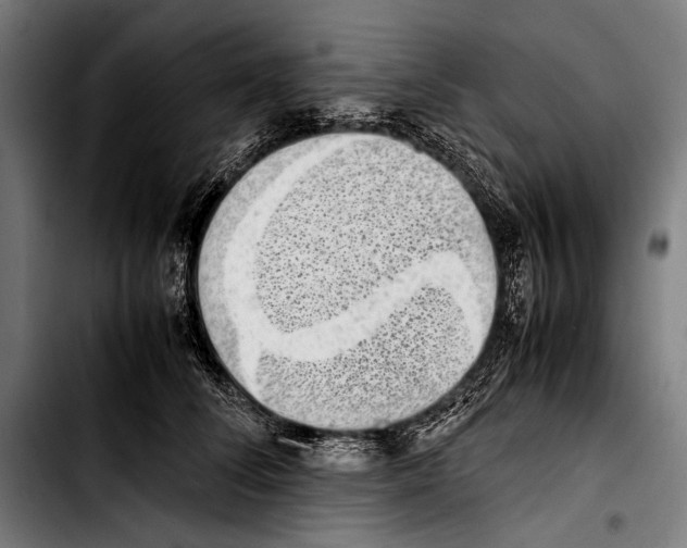 X0000103330708200810171424