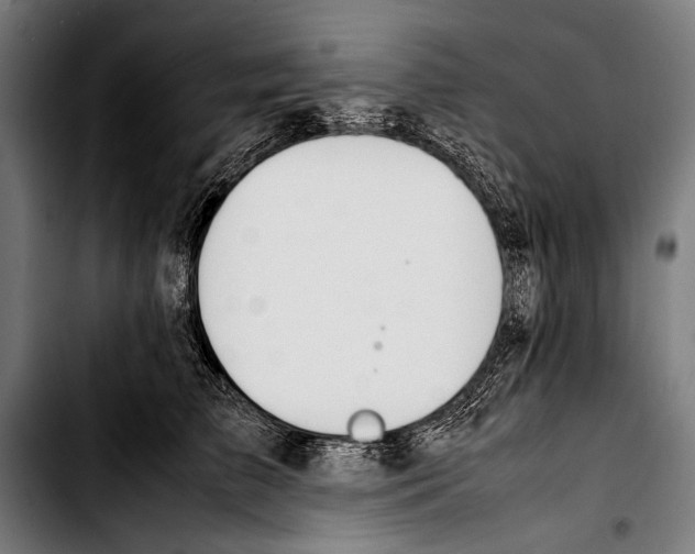 X0000103330709200810171424