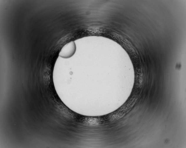 X0000103330710200810171424