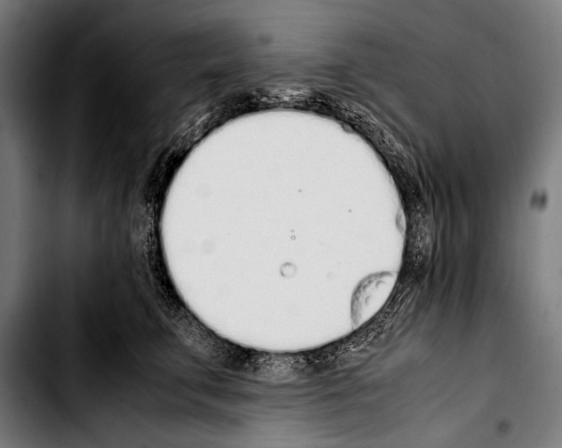 X0000103330711200810171424