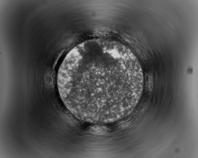 X0000103330712200810171424