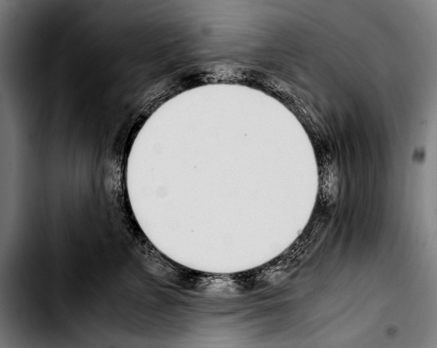 X0000103330715200810171424