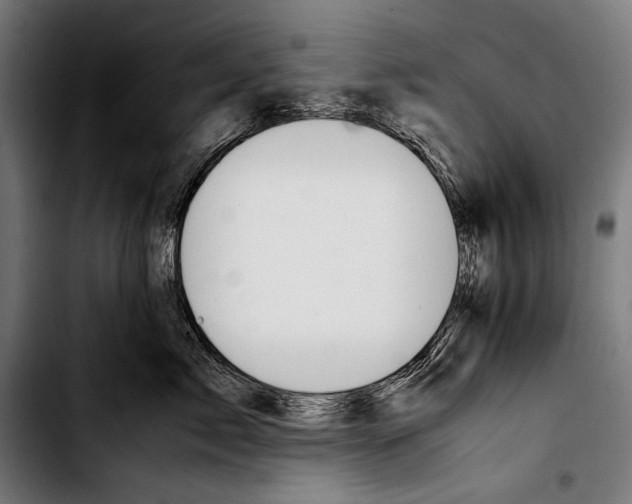 X0000103330717200810171424