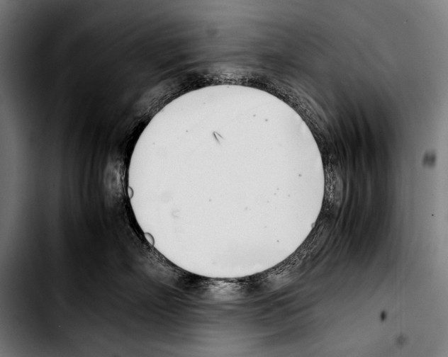 X0000103330718200810171424