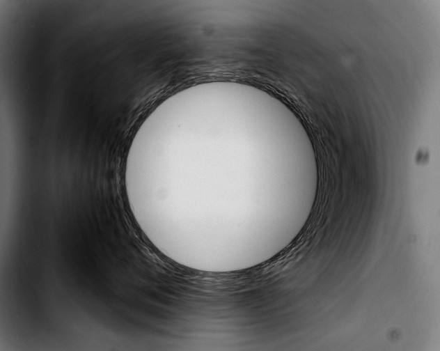 X0000103330720200810171424