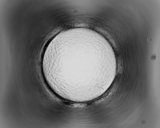 X0000103330721200810171423