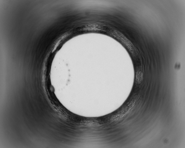 X0000103330724200810171423