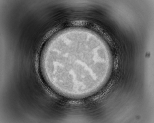 X0000103330725200810171423