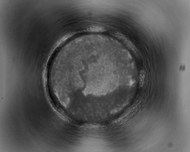 X0000103330726200810171423